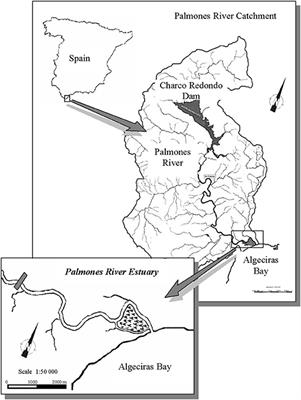 Differential Nutrient Uptake by Saltmarsh Plants Is Modified by Increasing Salinity